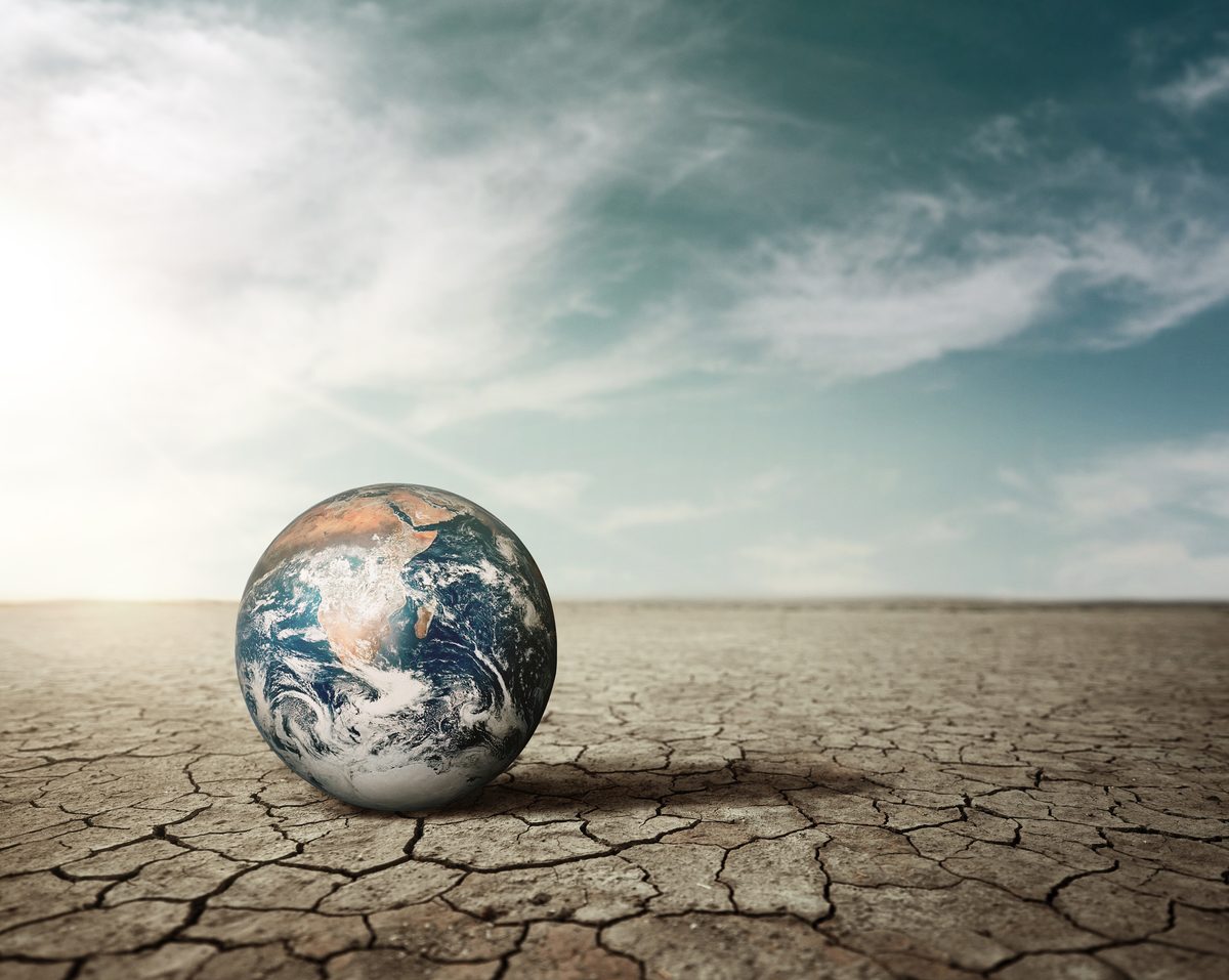 Bemühungen der Unternehmen um Klimaschutz steigen
